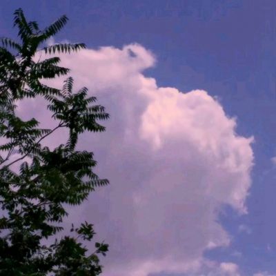 魔力家族荣耀游戏汉化版下载
